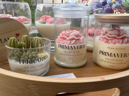 Vela Primavera