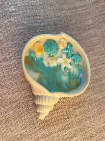 Vela “Bahía de Coral”